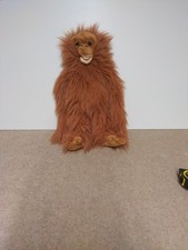 Orangutan monkey hand for sale  SPALDING