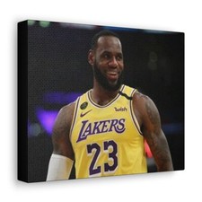 10x8 lebron james for sale  Bethel Park