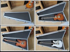 Warwick rockcase flightcase gebraucht kaufen  Bremen