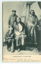 Cacique mulato familia d'occasion  Igny