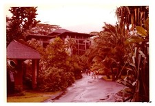 July 1973 paradise for sale  Cypress