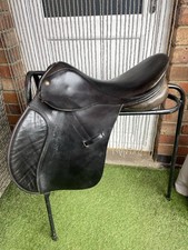 Black brown english for sale  SWADLINCOTE