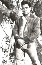 Elvis presley riginal gebraucht kaufen  Leipzig