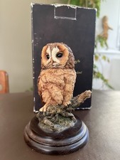 Country artists tawny for sale  HARROGATE