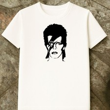 david bowie ziggy stardust usato  Saviore dell'Adamello