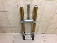 Forcella completa triumph usato  Italia
