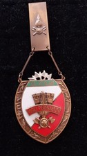 Distintivo vigili del usato  Roma
