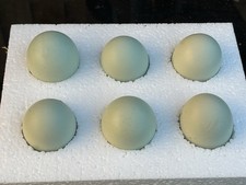 Xaraucanas bantam eggs for sale  SUDBURY