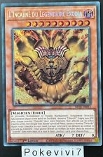 Carte incarne legendaire d'occasion  Valognes