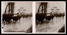 Guerre mondiale verdun d'occasion  Pagny-sur-Moselle