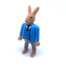 Playmobil pays magique d'occasion  Riedisheim