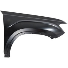 Fender quarter panel for sale  USA