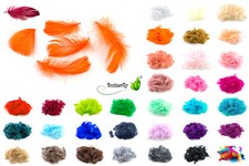 100 gänsefedern 10cm gebraucht kaufen 100 gänsefedern 10cm gebraucht kaufen  Nürnberg