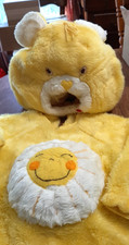 Care bears costume for sale  Randolph