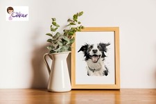 Border collie print for sale  SITTINGBOURNE