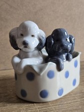poodles puppies for sale poodles puppies for sale LEEDS
