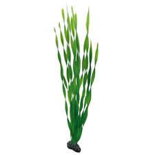 Hobby vallisneria plante d'occasion  Expédié en France