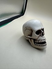N37 realistic skull for sale  Elk Grove
