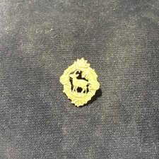 Vintage brooch carved for sale  CAMBRIDGE