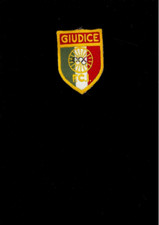 Ciclismo giudice federazione usato  Pisa
