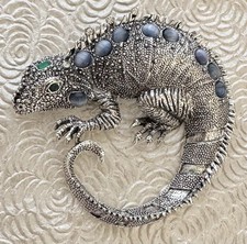 rock iguana for sale rock iguana for sale Miami Beach