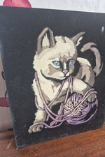 Black velvet cat for sale  Sioux City