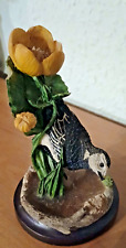 Schöne vogelwelt collection gebraucht kaufen  Braunschweig