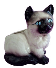 Siamese cat kitten for sale  Valley Center
