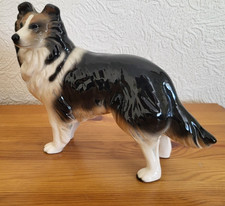 shetland sheepdog for sale shetland sheepdog for sale ALNWICK