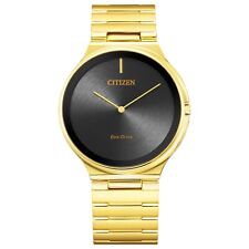 Citizen stilleto eco for sale  Houston