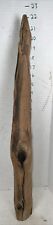 Driftwood tall taxidermy for sale  Brookwood