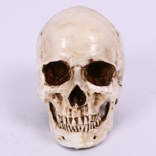 Head realistic replica for sale  HIGH WYCOMBE