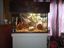 Aquarium fish tank for sale  Hinton