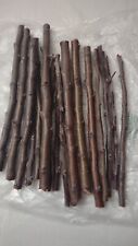 Organic cuttings scions for sale  Myerstown