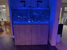 Marine reef tank for sale  SPALDING
