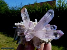 Amethyst vigas veracruz gebraucht kaufen  Weiden
