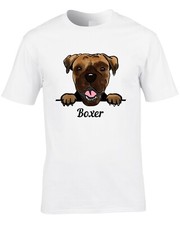 Boxer dog breed for sale  ENFIELD