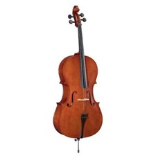 Soundsation pce violoncello usato  Alife