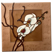 wall tile accent tile for sale  Whiting
