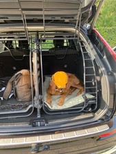 Volvo xc60 hundegitter gebraucht kaufen  Selm