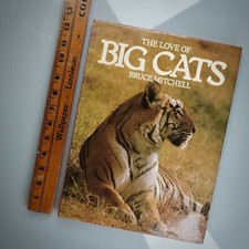 Love big cats for sale  San Antonio