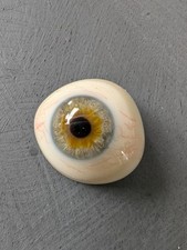 Vintage antique human for sale  Lemon Grove