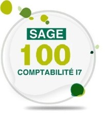 Logiciel sage 100 usato  Spedire a Italy