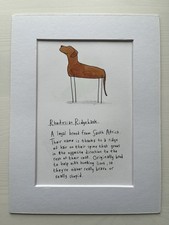 Quadro cane rhodesian usato  Spedire a Italy
