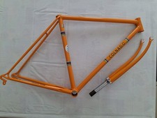 Colnago super frame usato  Ferrara