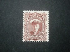 Newfoundland kgv 1911 for sale  BOSCASTLE
