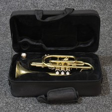 Forte cn220 cornet for sale  YORK