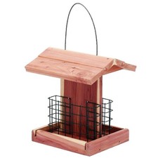 Solution4patio suet bird for sale  USA
