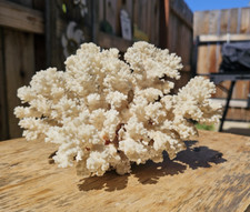 Beautiful multicolored piece for sale  Covina