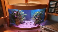 Eck aquarium juwel gebraucht kaufen  Gaggenau